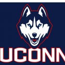 Connecticut Huskies Hand Flag 3x5 ft