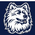 Connecticut Huskies Hand Flag 3x5 ft
