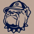 Georgetown Hoyas Flag 3x5 ft Basketball Club