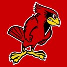 Illinois State Redbirds Hand Flags Banners 3x5 ft