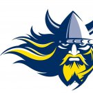 Portland State Vikings 3x5 ft Digital Printing