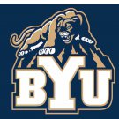 Brigham Young Cougars Falcons Hand Flag 3x5 ft
