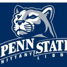 Penn State Nittany Lions Flag Digital Printing 3x5 ft