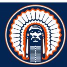 Illinois Fighting Illini Hand Flags Banners 3x5 ft