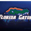 Florida Gators Flag 3x5 ft Club Basketball Team