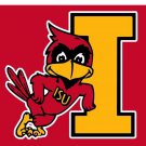 Iowa State Cyclones Hand Flags Banners 3x5 ft