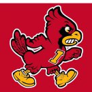 Iowa State Cyclones Hand Flags Banners 3x5 ft