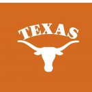 Texas Longhorns Digital Printing flag 3x5 ft