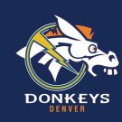 Denver Broncos Football Logo Banners Flags 3x5 ft