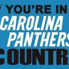 Carolina Panthers Team Banners Flag 3x5 ft
