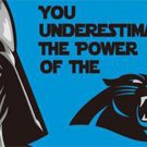 Carolina Panthers Team Banners Flag 3x5 ft