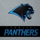 Carolina Panthers Team Logo Flag 3x5 ft