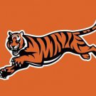 Cincinnati Bengals National Football Flags 3x5 ft