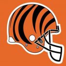 Cincinnati Bengals National Football Flags 3x5 ft