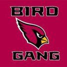 Arizona Cardinals Team Banners Flags 3x5 ft