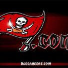 Tampa Bay Buccaneers Sports Banners Flags 3x5 ft