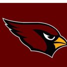 Arizona Cardinals Logo Two Strip Sport Flags 3x5 ft
