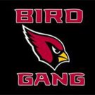 Arizona Cardinals Sports Team Flags 3x5 ft