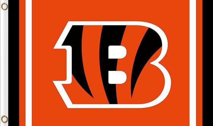Cincinnati Bengals Logo Two Strip Flag 3x5 ft