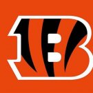 Cincinnati Bengals Logo Two Strip Flag 3x5 ft