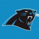 Carolina Panthers Logo Stripe Flag 3x5 ft