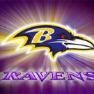 Baltimore Ravens Team Logo Flag 3x5 ft