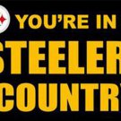 Pittsburgh Steelers Sports Banners Flags 3x5 ft
