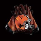 Cleveland Browns National Football Logo Flags 3x5 ft