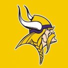 Minnesota Vikings Logo Sport Team 3x5 ft