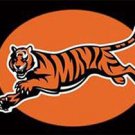 Cincinnati Bengals Flags 3x5 ft