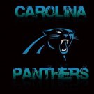 Carolina Panthers Team Flags 3x5 ft