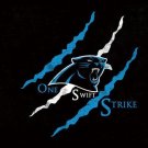 Carolina Panthers Team Flags 3x5 ft