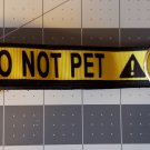 1" Do Not Pet Dog Collar