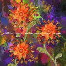 Abstract Flowers - Orange