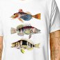 T-Shirt: EXOTIC FISH / (tshirt tee top) marine drawings tropical aquatic aquarium fishing