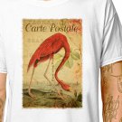 T-Shirt: FLAMINGO - FRENCH POSTCARD / (tshirt tee top) exotic bird wild animal