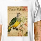 T-Shirt: PIGEON - FRENCH POSTCARD / (tshirt tee top) exotic bird wild animal