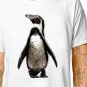 T-Shirt: YOUNG PENGUIN / (tshirt tee top) cute baby animal wild zoo birthday party