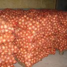 YELLOW SWEET ONION SEEDS * 100 SEEDS* SWEETEST*HEALTHFUL* FREE COMB. SH