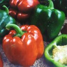 BULK * 300 SEEDS * SWEET GIANT PEPPER - KEYSTONE *