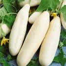 White Wonder Cucumber *Heirloom* (50 Seed's) "FREE SHIPPING"