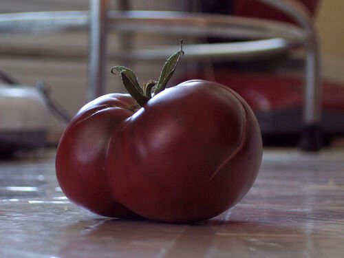 Tomato CARBON 25 Heirloom, Non-gmo Seed GREAT FLAVOR - FREE Shipping