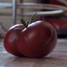 Tomato CARBON 25 Heirloom, Non-gmo Seed GREAT FLAVOR - FREE Shipping