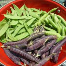 PEAS, OREGON GIANT PEAS,150 HEIRLOOM,NON GMO,GLUTEN Free Seed FREE Shipping