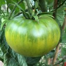 Aunt Ruby's German Green Tomato Seeds, NON-GMO, Heirloom, FREE SHIPPING