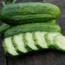 National Pickling Cucumber Seeds, Pickles, Gherkins, NPPA, NON-GMO, FREE SHIP