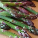 Mary Washington Asparagus Seeds, NON-GMO, Healthy Vegetable, FREE SHIPPING
