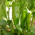 25 Seeds Anaheim Chile Hot Pepper , NON-GMO, Variety Sizes, Chili, FREE SHIPPING