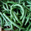 Green Bean Seeds, Blue Lake Bush 274, NON-GMO, Variety Sizes Sold, FREE SHIPPING