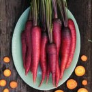 Purple Dragon Carrot 1200 Seeds Beautiful color RARE Heirloom Lycopene!